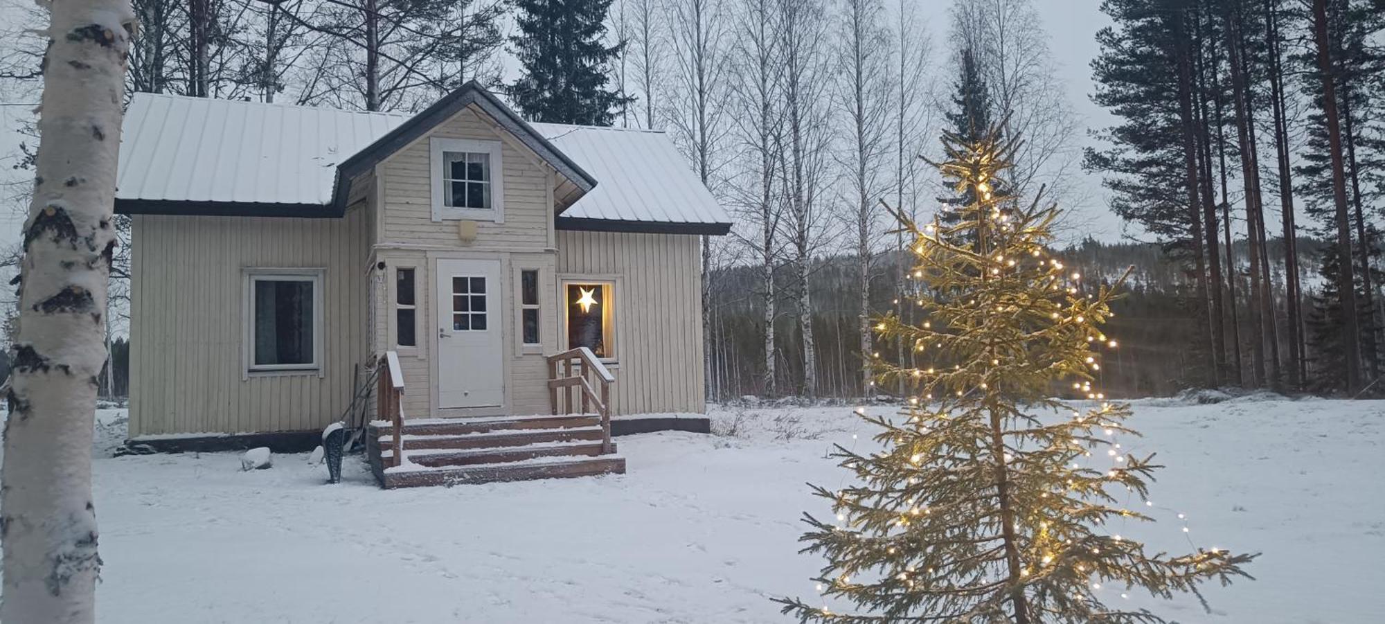 Pine Forest Log House Villa Rovaniemi Bagian luar foto